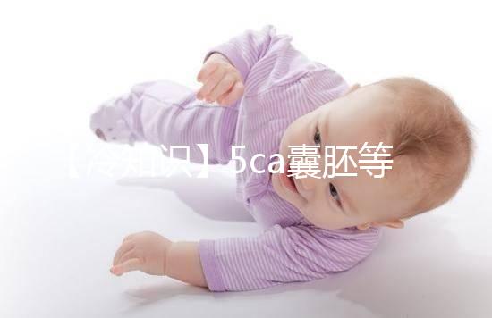 【冷知識】5ca囊胚等級低,質量并不能代表成功率