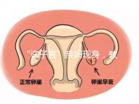 “許子言”親媽現(xiàn)身，教你如何生一個媽媽的小情人小暖爐！