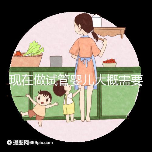 現(xiàn)在做試管嬰兒大概需要多少錢(qián)？