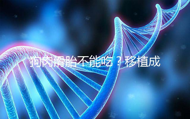 狗肉滑胎不能吃？移植成功后能不能吃狗肉答案看這里