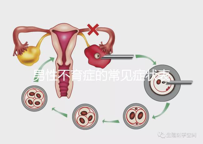 男性不育癥的常見(jiàn)癥狀表現(xiàn)