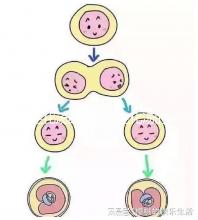 生化湯的作用（生化湯的作用與功效）