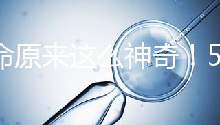 生命原來這么神奇！5個(gè)步驟詮釋胚胎培育的全過程