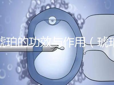 琥珀的功效與作用（琥珀的功效與作用與主治）