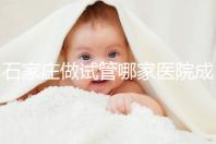 石家莊做試管哪家醫院成功率最高（石家莊做試管哪家醫院成功率最高的）