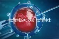 皂角刺的功效（皂角刺壯陽(yáng)多強(qiáng)）