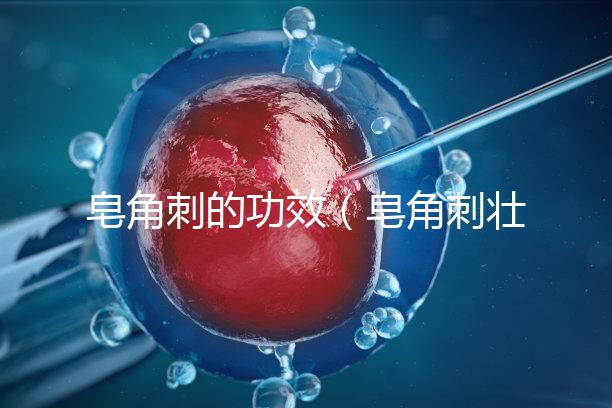 皂角刺的功效（皂角刺壯陽(yáng)多強(qiáng)）