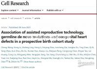 目前國外做試管嬰兒需要結(jié)婚證嗎？不同地區(qū)證照要求解讀