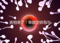 真相來了！導(dǎo)致空卵泡與多囊卵巢有關(guān)，區(qū)別在于以下四點(diǎn)，多研究