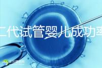 第二代試管嬰兒成功率（第二代試管嬰兒成功率高嗎）