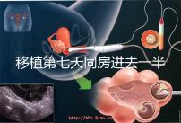 移植第七天同房進去一半有無影響戳，沒出血問題就不大