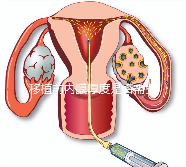 移植前內膜厚度是否需要降調，應注意什么速度