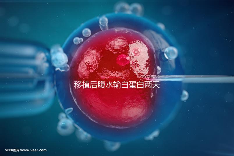 移植后腹水輸白蛋白兩天不好怎么辦？關鍵是找出發(fā)生了什么