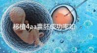 移植4aa囊胚成功率如何？細說質量等級讓你助孕更安心
