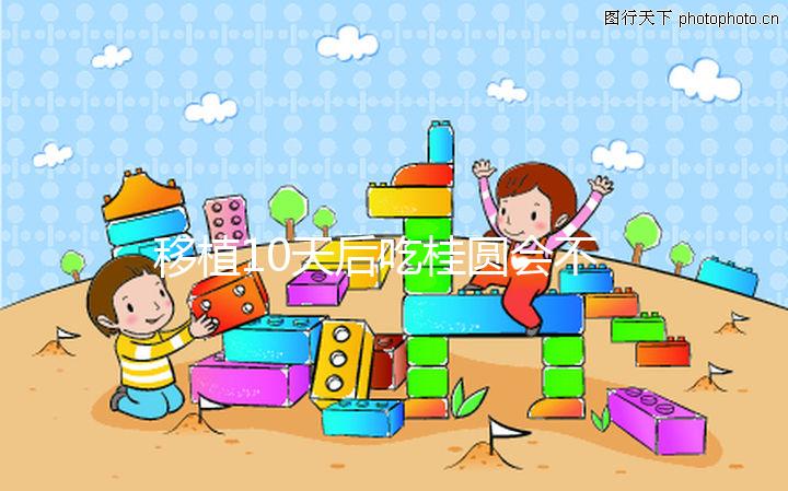 移植10天后吃桂圓會(huì)不會(huì)不著床分人，過量食用或有影響