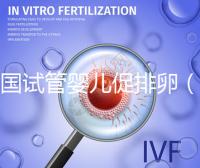 美國試管嬰兒促排卵（美國試管嬰兒促排卵常用什么藥物）