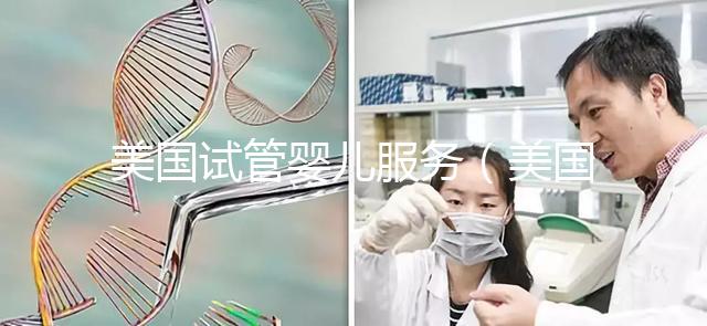 美國試管嬰兒服務(wù)(美國試管嬰兒服務(wù)套餐)
