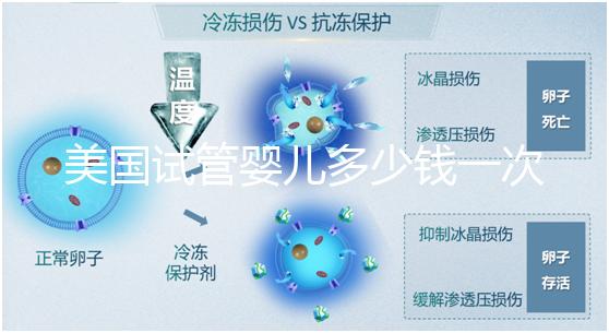 美國試管嬰兒多少錢一次？2025費用清單與避坑指南！