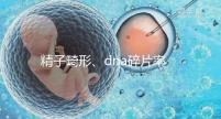 精子畸形、dna碎片率高，三代試管嬰兒或許是最后“救星”