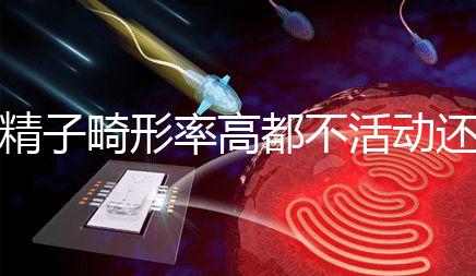 精子畸形率高都不活動還能做試管嬰兒嗎？