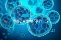 縱隔子宮患者懷孕后，五大注意事項不容忽視！科學防止胎兒停止