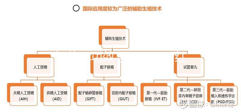 紅花的功效與副作用（紅花不適宜人群）