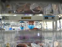 卵泡破裂前后同房生女孩不可信！想要懷女兒送你這3招