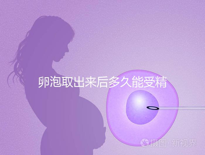 卵泡取出來(lái)后多久能受精做試管來(lái)瞧，想移植請(qǐng)算好時(shí)間