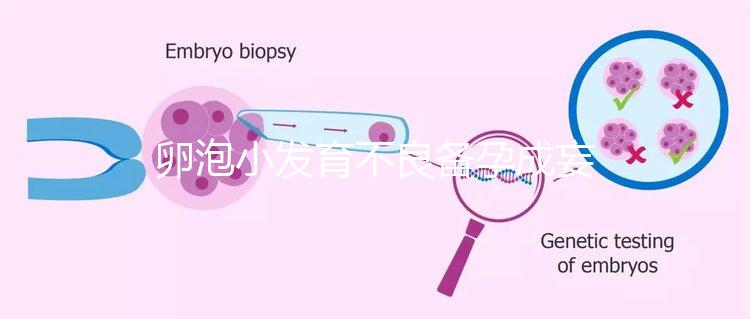 卵泡小發(fā)育不良備孕成妄想，閉鎖卵泡早檢查早治療