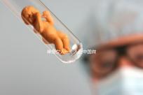 單身女人一個(gè)人在中國(guó)做試管嬰兒需要多少錢？