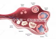 南寧市第二人民醫(yī)院試管成功率不低有前提，選對(duì)醫(yī)生更好孕