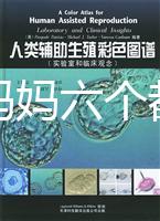 十個準(zhǔn)媽媽六個都貧血，別讓貧血傷害你的“好孕”！