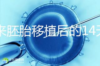 原來胚胎移植后的14天，這些信號預(yù)示著床成功