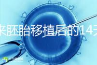原來胚胎移植后的14天，這些信號預(yù)示著床成功