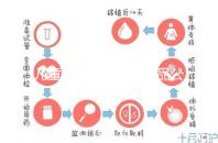 兒童牙膏十大國(guó)產(chǎn)產(chǎn)品公布，2024年哪些品牌看這個(gè)