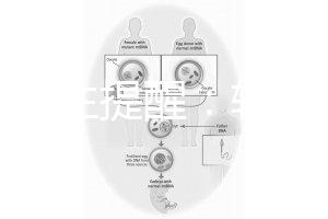 兒科醫(yī)生提醒：輪狀疫苗有不良反應(yīng)，輕微表現(xiàn)持續(xù)時(shí)間短