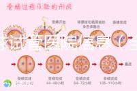 全球試管醫(yī)院信息（全球試管醫(yī)院排名）