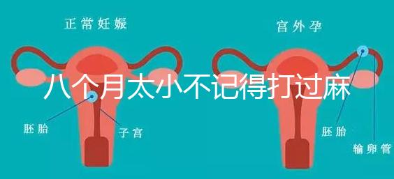 八個月太小不記得打過麻風(fēng)疫苗看這，2大反應(yīng)教你辨別