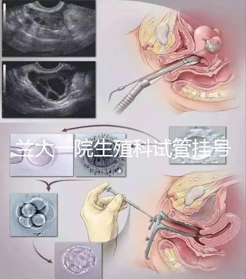 蘭大一院生殖科試管掛號多少錢別還不造，預約攻略來了