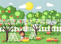 做試管買精生子需要多少錢（做試管買精生子需要多少錢那個醫(yī)院能做）