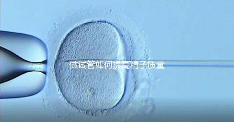 做試管如何提高精子質(zhì)量？五星推薦4個(gè)簡單小運(yùn)動(dòng)