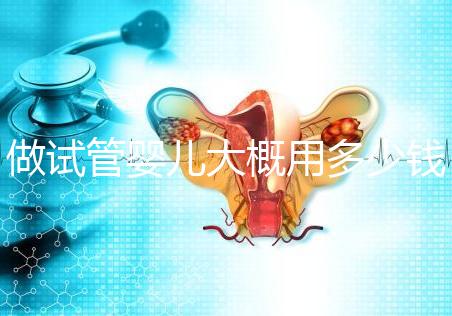 做試管嬰兒大概用多少錢，做試管嬰兒一般需要多少錢