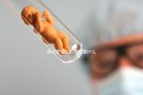做試管嬰兒都要檢查什么（做試管嬰兒都要檢查什么項(xiàng)目）