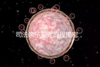 司法親子鑒定流程揭密，附準(zhǔn)備材料請一并參考