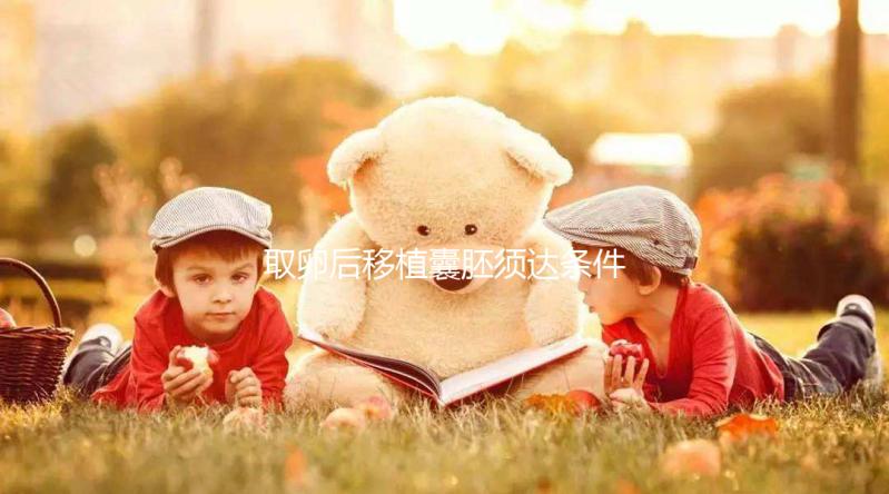 取卵后移植囊胚須達條件！至少要達到這3個標準