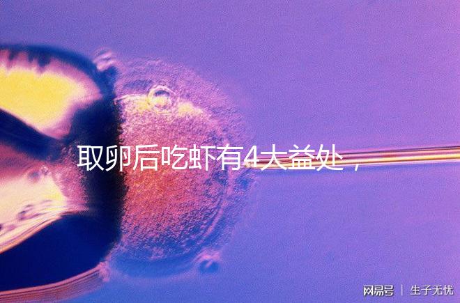 取卵后吃蝦有4大益處，且聽本文娓娓道來！