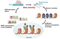 取卵后10天會來月經(jīng)嗎？快拿小本本記好準(zhǔn)確時(shí)間