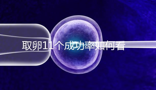 取卵11個成功率如何看胚胎配成數(shù),只受精兩個要找找原因