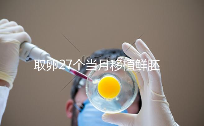 取卵27個當月移植鮮胚別想了，成功率低不說當心全軍覆沒