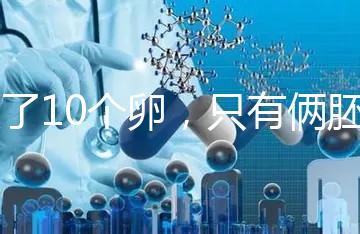 取了10個(gè)卵，只有倆胚胎？卵都去哪了？